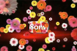 image text