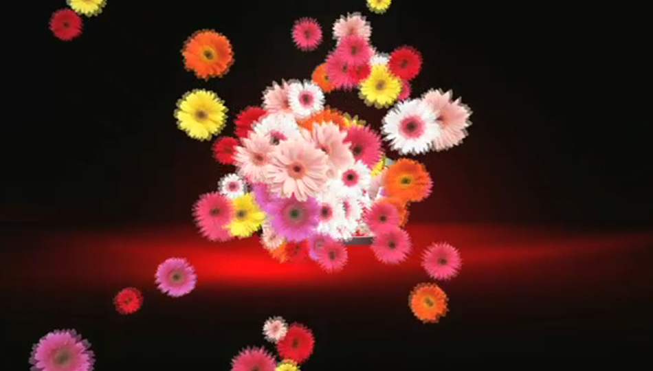 video text